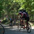 Po prvním přejezdu silnice, 8.km (foto: Sáva, petebike.com)
