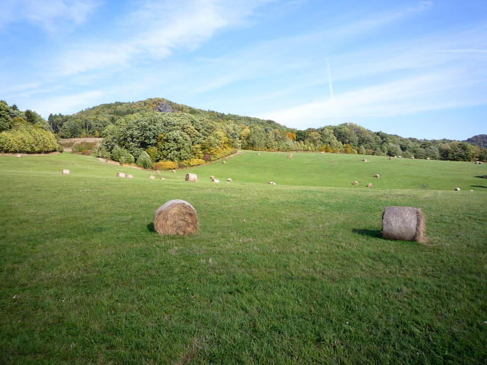 p1000813.jpg