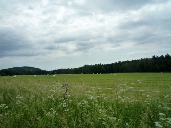 p1020664.jpg