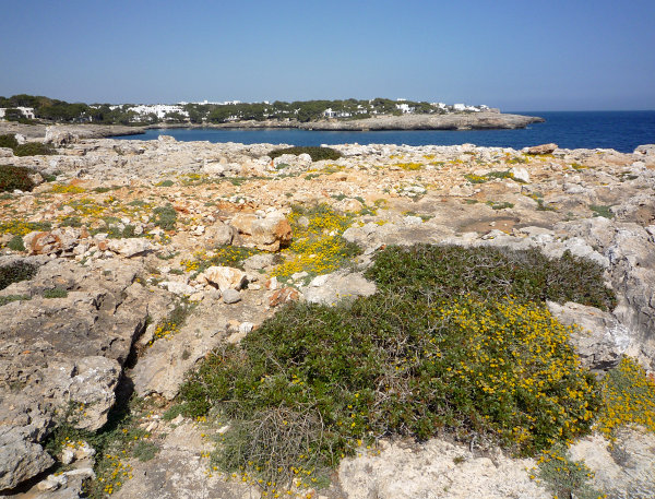 Zátoka v Cala D'or
