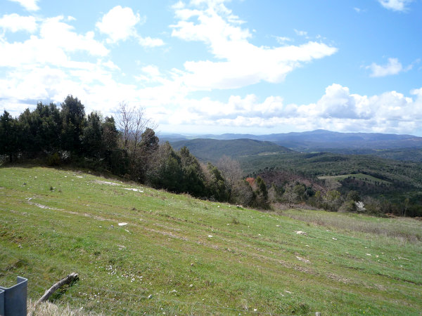 Výhled