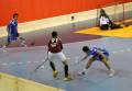 SPA vs. MB, 22.2.2009  (foto: tom@drb.cz)
