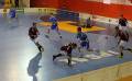 SPA vs. MB, 22.2.2009  (foto: tom@drb.cz)