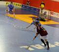 SPA vs. MB, 22.2.2009  (foto: tom@drb.cz)