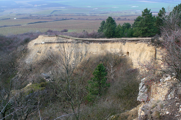 Hrana Pálavy
