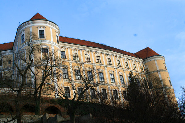 Holubi v Mikulově