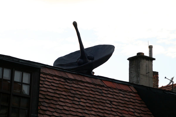 Rostlinný satelit