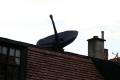 Rostlinný satelit