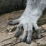 spolecnost:zoo2009:flash-thumbs:img_1038.jpg