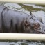 spolecnost:zoo2009:flash-thumbs:img_1054.jpg