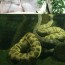 spolecnost:zoo2009:flash-thumbs:img_1066.jpg