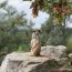 spolecnost:zoo2009:flash-thumbs:img_1079.jpg