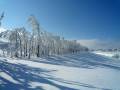 Idyla u parkoviště (neděle)