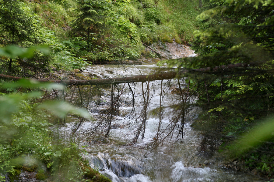 (Roháče 2011, příjezd a Juráňova dolina)