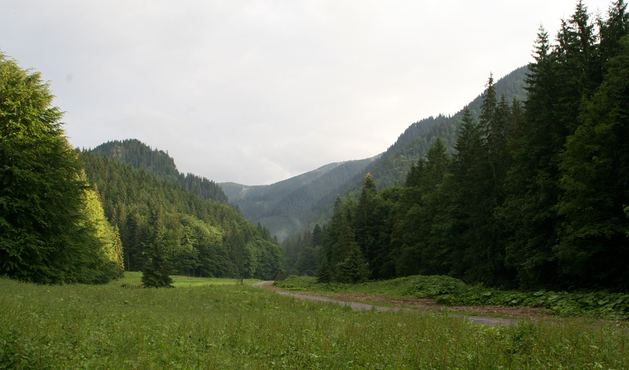 (Roháče 2011, příjezd a Juráňova dolina)