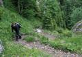 (Roháče 2011, Sivý vrch)