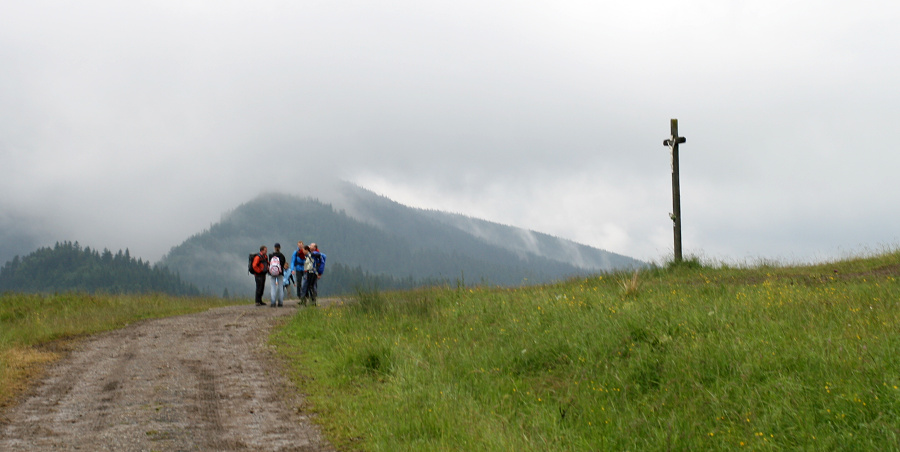 (Roháče 2011, Prosiecka a Kvačianska dolina)