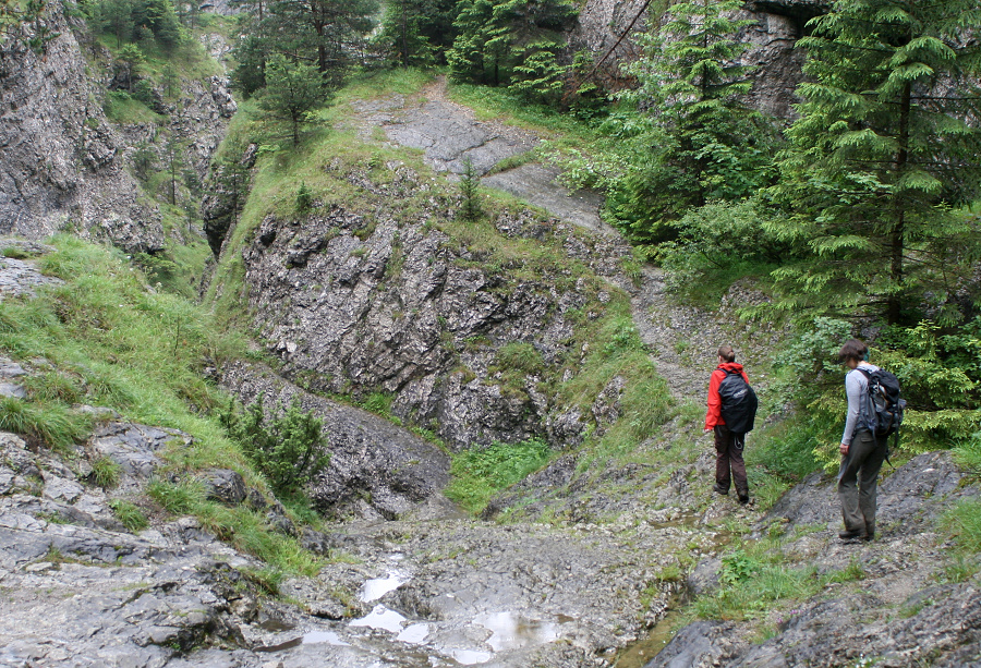 (Roháče 2011, Prosiecka a Kvačianska dolina)