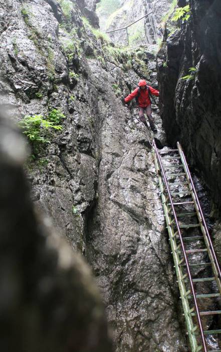 (Roháče 2011, Prosiecka a Kvačianska dolina)