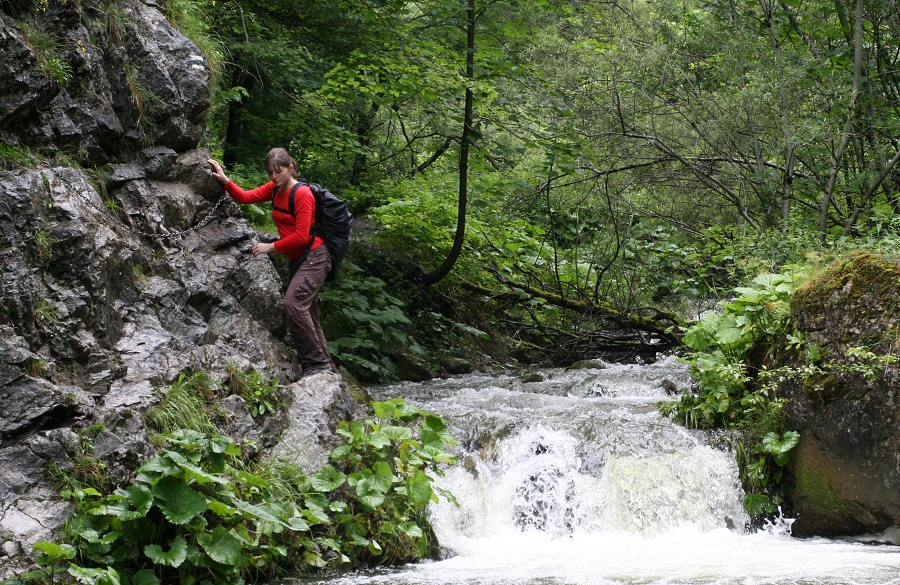 (Roháče 2011, Prosiecka a Kvačianska dolina)