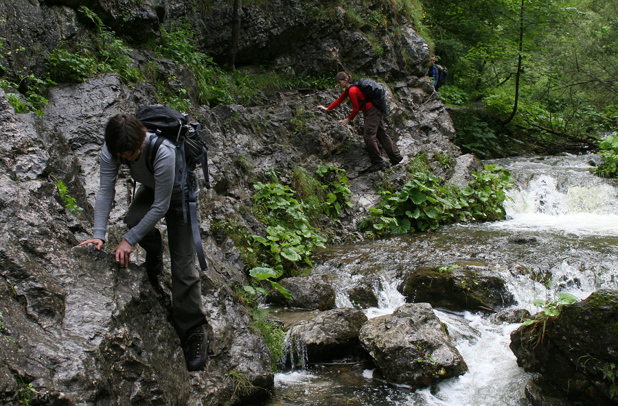 (Roháče 2011, Prosiecka a Kvačianska dolina)