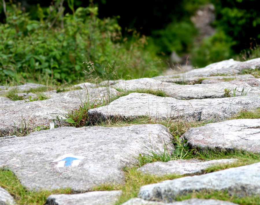 (Roháče 2011, Ostrý Roháč)
