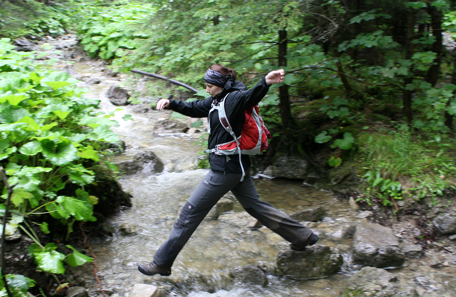 (Roháče 2011, Prosiecka a Kvačianska dolina)