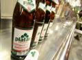 Starterbeer na hlaváku