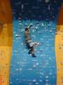 dsc00204.jpg