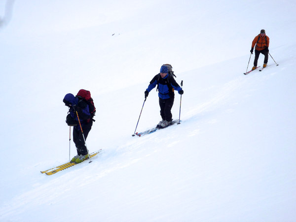 (Almerhorn)