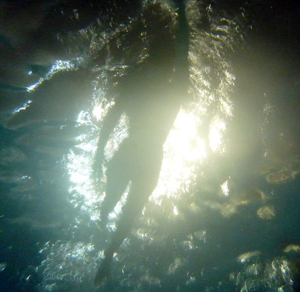 p1000969.jpg