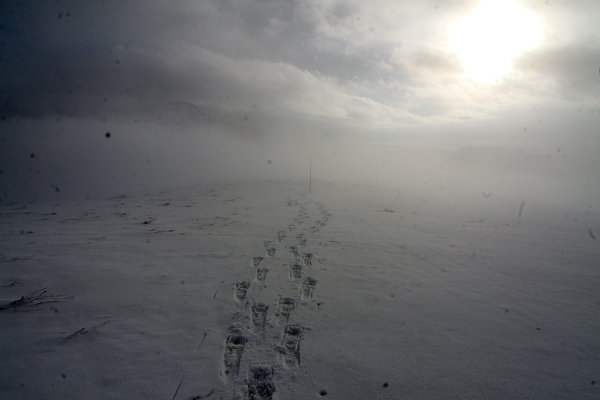 Vystup na Handliarku (1208 m)