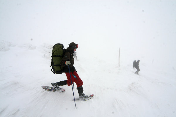 Sestupujeme ze Zámostské Hoľy (1648 m)