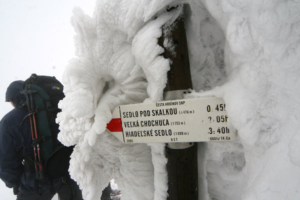 Latiborská Hoľa (1648 m)