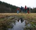 Niva Losinského potoka (foto: drb.cz)