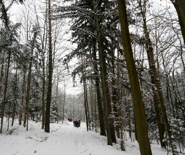 Směr Pyšely