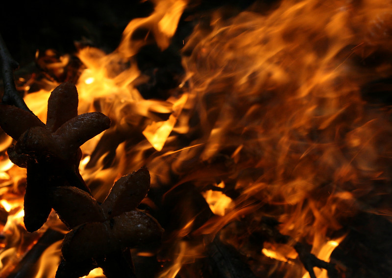 158. Výlet (foto: tom@drb.cz)