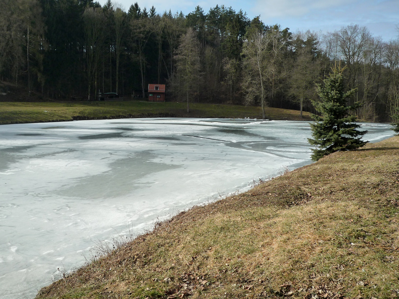 (foto: Šnek)