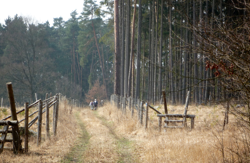 p1070025.jpg