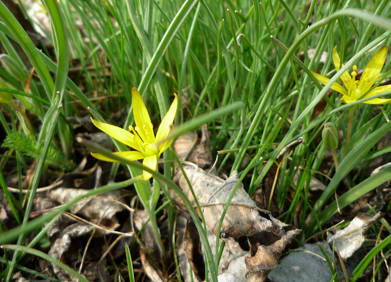p1070057.jpg