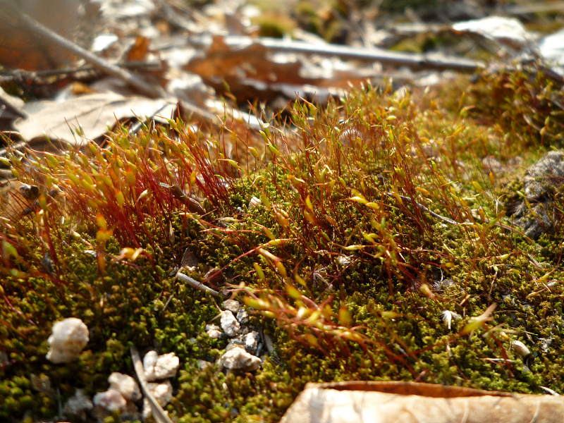 p1070078.jpg